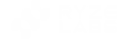 ryzelabs